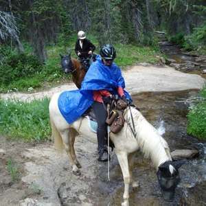 Meet your Posher, Barbara